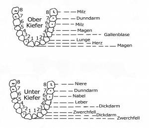 Zahn-Chart