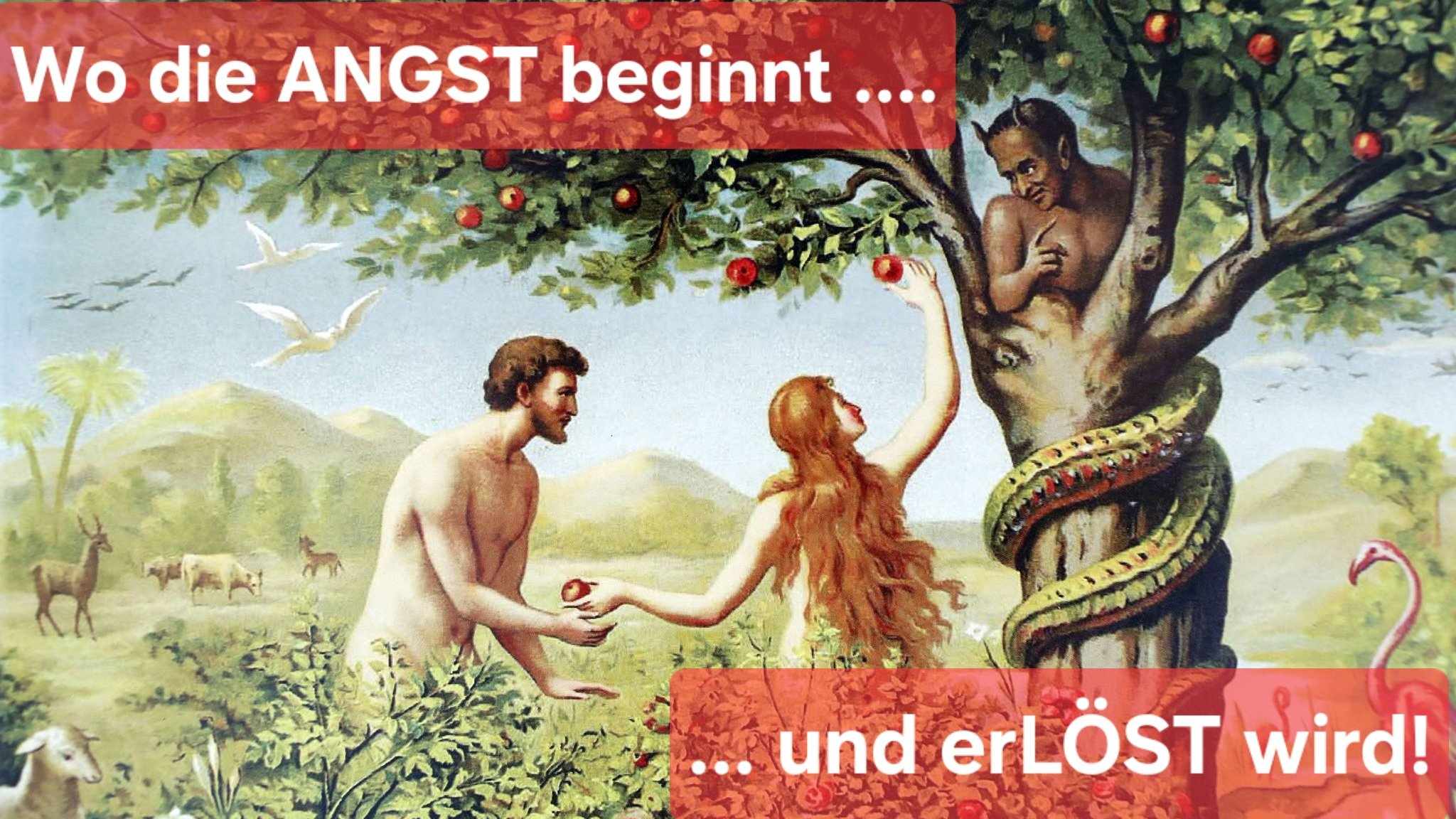 Mehr über den Artikel erfahren ANGST – die Krankheit der Welt !