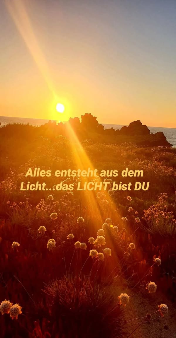 Mehr über den Artikel erfahren LICHT – versus KRANKHEIT! KRANKHEIT kommt niemals „sofort“ …