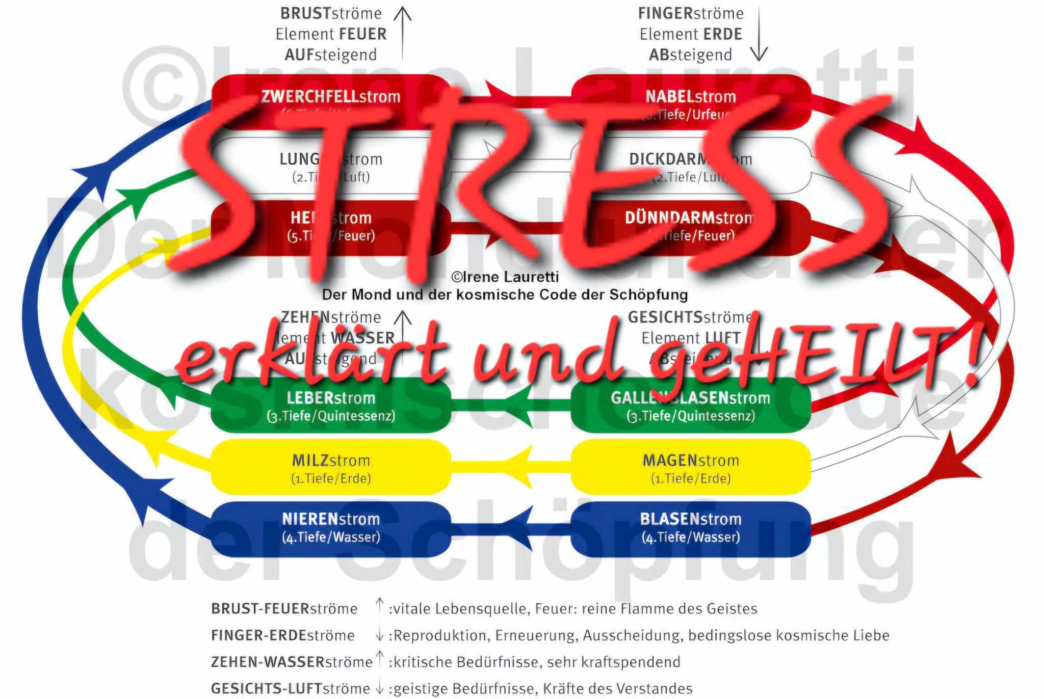 Mehr über den Artikel erfahren Stress ….