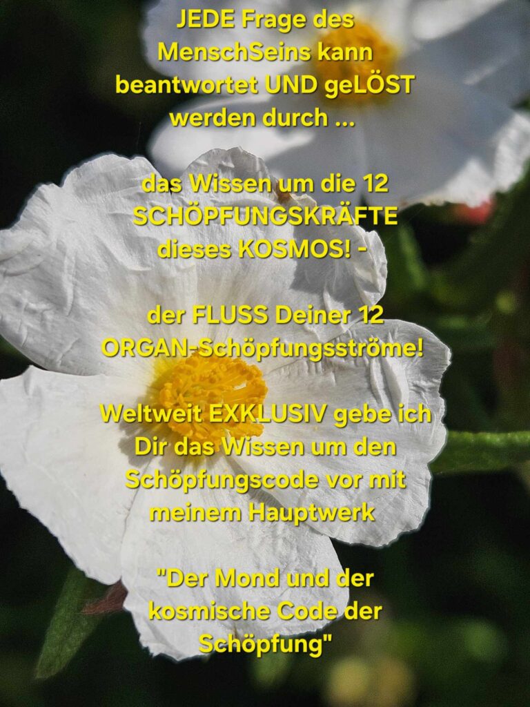 Read more about the article (Deutsch) Die ANWORT und ErLÖSUNG auf JEDE FRAGE des MenschSeins!