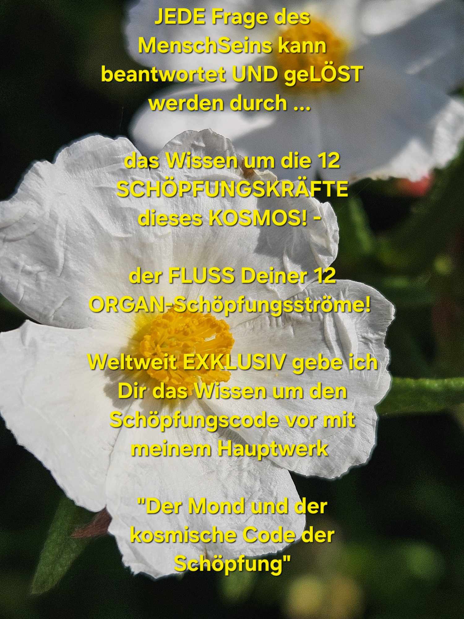 Mehr über den Artikel erfahren Die ANWORT und ErLÖSUNG auf JEDE FRAGE des MenschSeins!