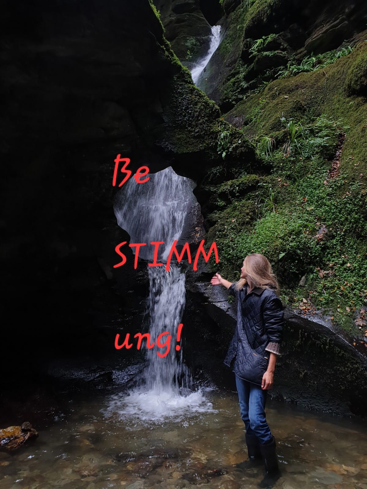 Du betrachtest gerade Der SCHÖPFUNGSCODE als BeSTIMMung!