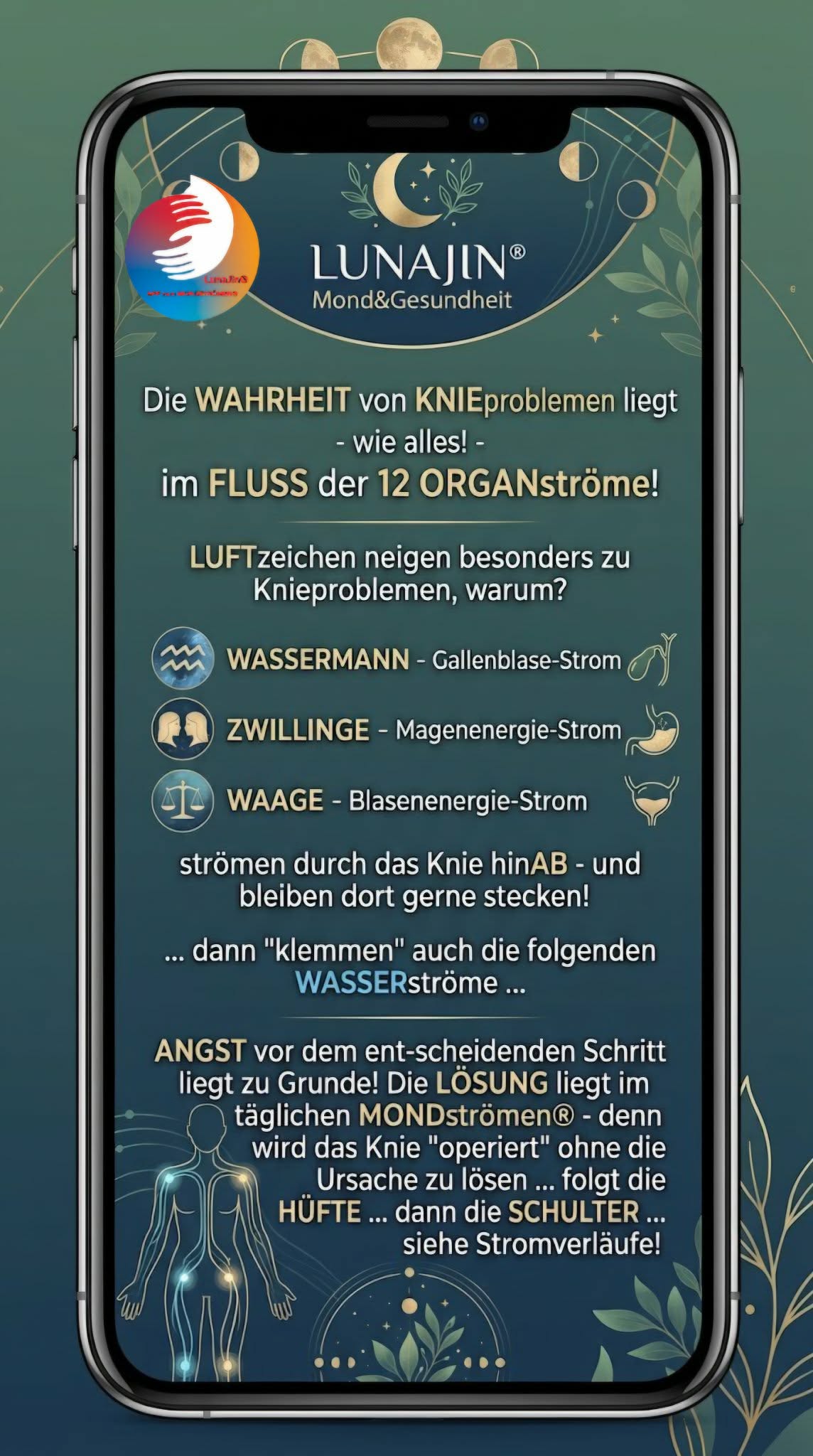 Du betrachtest gerade Die WAHRHEIT von Knieproblemen liegt …