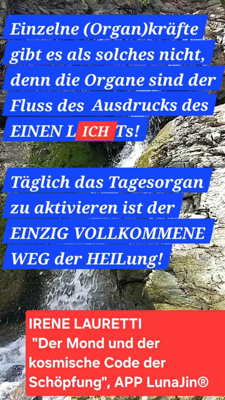 Mehr über den Artikel erfahren SEELE …