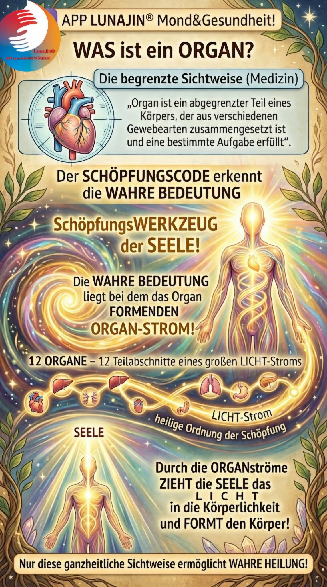 Du betrachtest gerade ORGANE ENT-SCHLÜSSELT!