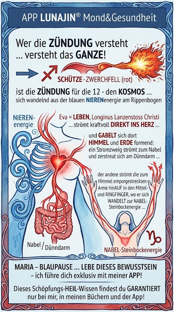 Du betrachtest gerade WAS haben SCHÖPFung und GESUNDHEIT gemeinsam?