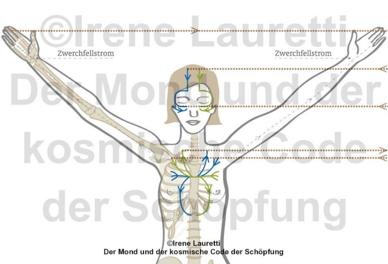 Mehr über den Artikel erfahren HEILUNG für ME/CFS – die unerkannte „Krankheit“
